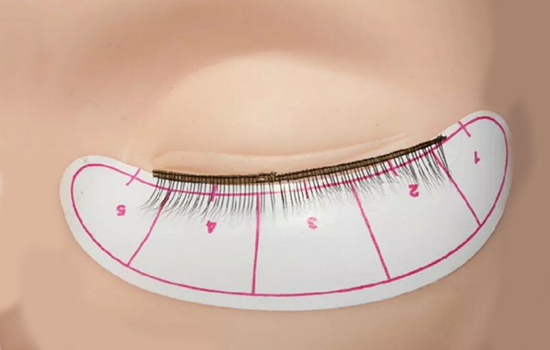 eye lash transplantation procedure