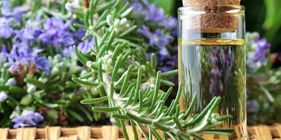 natural treatment for hair fall